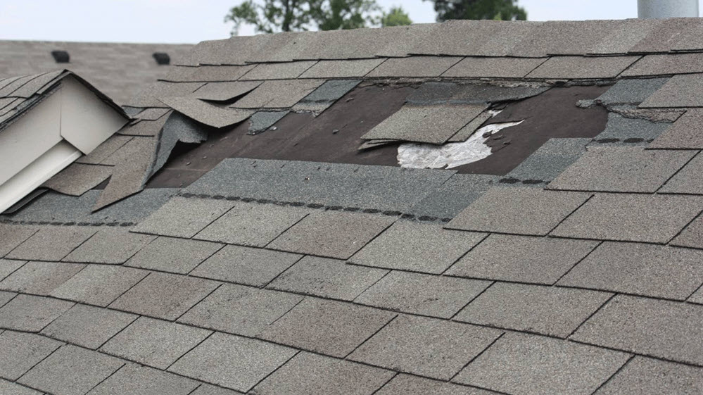 Roof Replacement Services Novi